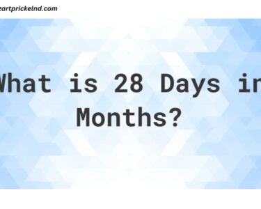 How Many months have 28 days